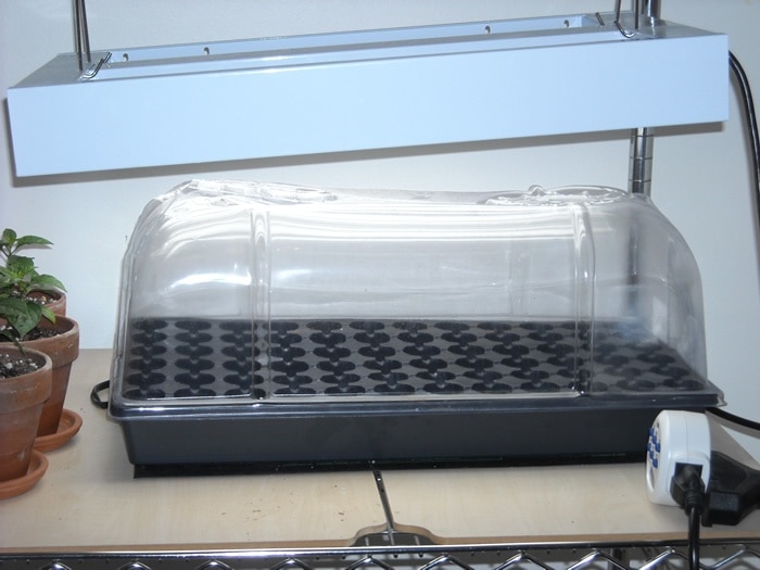 Propagator set up