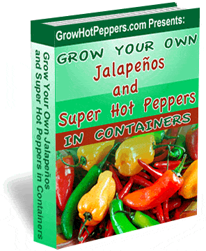 Grow Your Own Jalapenos and Super Hot Peppers in Containers E-book