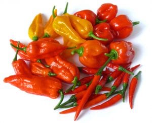 bhut jolokia, habanero, fatalii and thai chillies